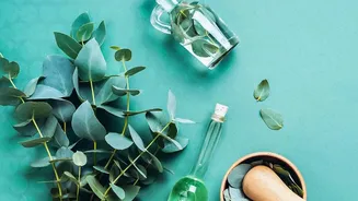 What Can Help Ease a Stuffy Nose at Home: Nasal Congestion