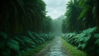 India's New Monsoon Mantra: Experience Over Everything Else