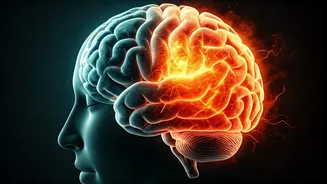 The Science of Vivid Dreams: Why Restless Sleep Makes Dreams Feel Unforgettably Real