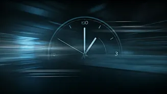 Elon Musk's Ambitious Work Ethic and the Quest for Success