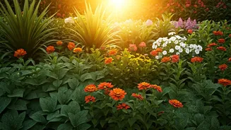 Unlock Your Garden's Potential: Master Sun Mapping for Perfect Plant Placement