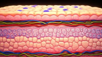 Psoriasis: Understanding, Managing, and Thriving