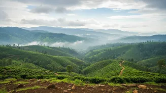 Why High-Altitude Araku Valley Stays Are Perfect For Monsoon Digital Detox Getaways
