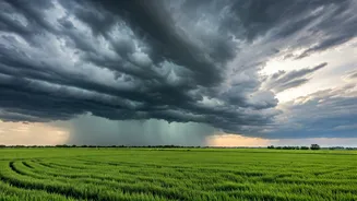Northwest India Rain Forecast Massive Wet Spell Predicted By IMD