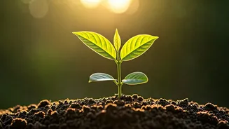 Sadhguru's 10 Powerful Insights for Raising Joyful, Confident, and Blossoming Children