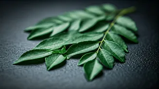 This Leafy Ingredient Can Lift Basic Meals