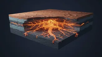Magma Highways Could Explain How Early Mars Moved Heat and Elements