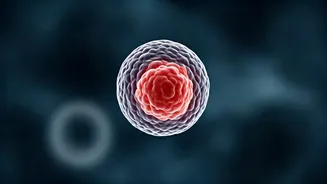 Dipika Kakar's Health Update: Navigating a New Liver Cyst After Cancer Treatment