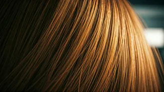 Unmasking 'Office Air': Why Your Skin and Hair Fade by Day's End