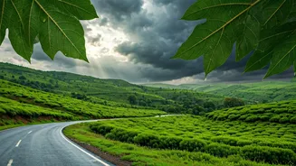 Rain-Ready Travellers Will Win Maharashtra Weekends