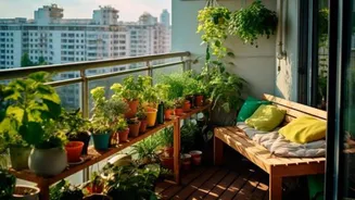 How to create a lush balcony garden