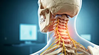 Cervical Spine Alerts: Decoding Neck Pain and Finger Tingling You Can't Ignore