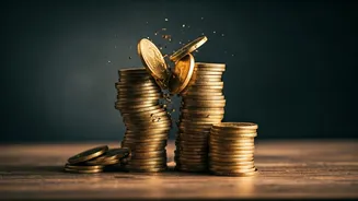 Bharat Rasayan: Stock Split & Bonus Issue 2025 Explained