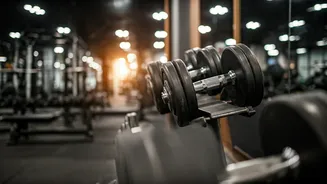 Ranbir Kapoor's Fitness Journey Unveiled