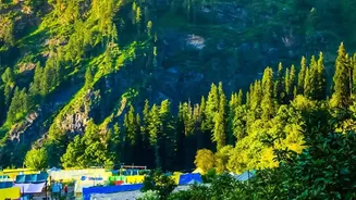 Work From Himachal: Cheap Homestays In Kasol And Jibhi For Tech Workers