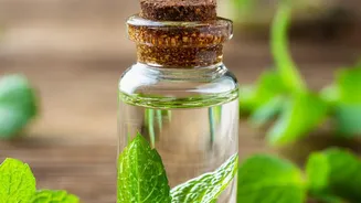 Zero waste herb oil infusions give leftover mint coriander stems great flavor