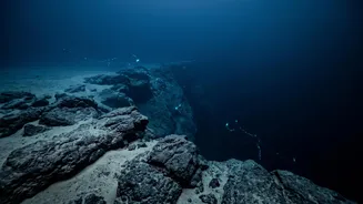 What Scientists Need To Know About The Ocean's Deepest Waters