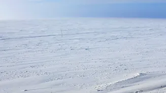 A New Antarctica Study Highlights Atmospheric Rivers