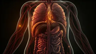 Unusual Body Odor: What Your Scent Might Be Signaling About Your Health