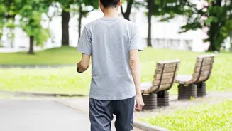 The Science And Habit Logic Behind Short Daily Walks