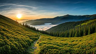 Escape To Hills Before Everyone Else Does