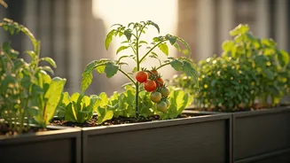 Why Tiny Productive Gardens Are Best Weekend Therapy For Corporates