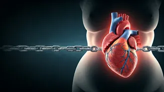 Related Stories banner