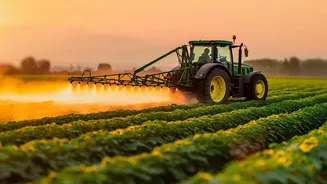 Smart Crop Protection: AI Smartphone Sensors Help Maharashtra Farmers Save Season Harvests