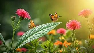 Garden Smarter With Native Species