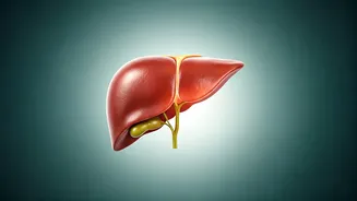 Boost Your Liver Health: Expert Tips on Diet, Habits, and What to Avoid