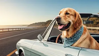 Owners Are Building Trips Around Furry Companions