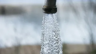 How Rice Husk Bio-Char Systems Remove Microplastic Contaminants From Urban Tap Water