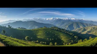 How Digital Nomad Culture Is Growing Rapidly In Himachal Mountain Villages Like Bir