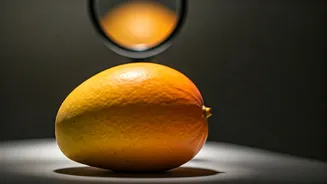 Mango Season Now Comes With Inspection Homework