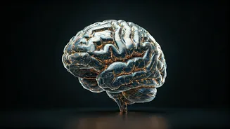 Unlocking Peak Performance: Why Your Mental Sharpness Dictates Your Daily Success