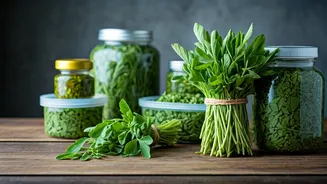 Related Stories banner