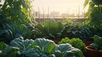 Gardening Changes City Life