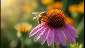 Support Pollinators Without High-Maintenance Gardening