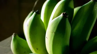 How Bananas Change As They Ripen: Why Both Stages Can Fit A Balanced Diet