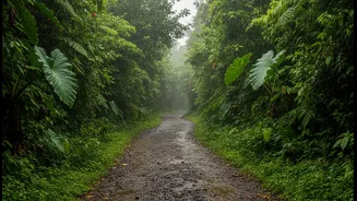Goa's Hidden Nature Trails Are Winning Hearts During the Rainy Season