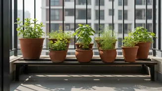 Compact Herb Gardens Are Transforming Apartment Balconies Across Indian Cities