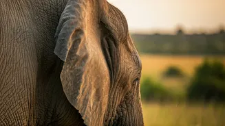 Related Stories banner