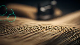 Fashion's Evolving Landscape: From Ethical Claims to Sustainable Innovations