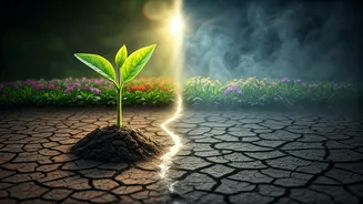 Teen Coping vs. Escaping: A Parent's Guide to Identifying Emotional Distress