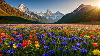 See Stunning Alpine Blooms At The Iconic Valley Of Flowers
