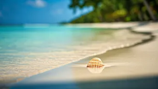 Vietnam Island Hopping Tops List For Cheap Summer Graduation Trips