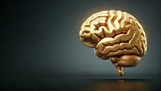 Why Skills Matter More Than Ever