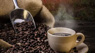 Coorg Coffee Plantation Homestays Experience High Off Season Demand From Slow Travellers Seeking Rainy Serenity