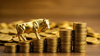 SAMCO Small Cap Fund: What Investors Need to Know