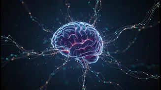 Why global scientific communities debate implications of latest cerebellar brain cell discovery